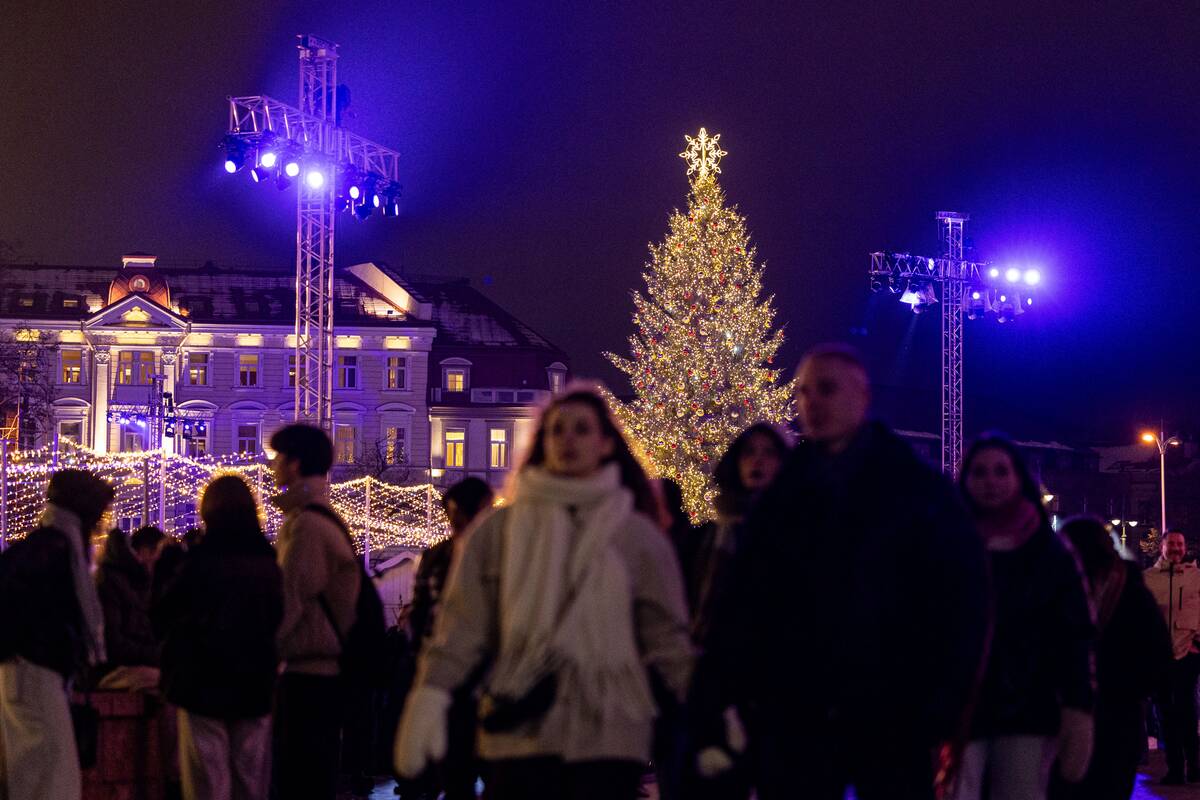 Vilniaus Kalėdų eglės įžiebimas