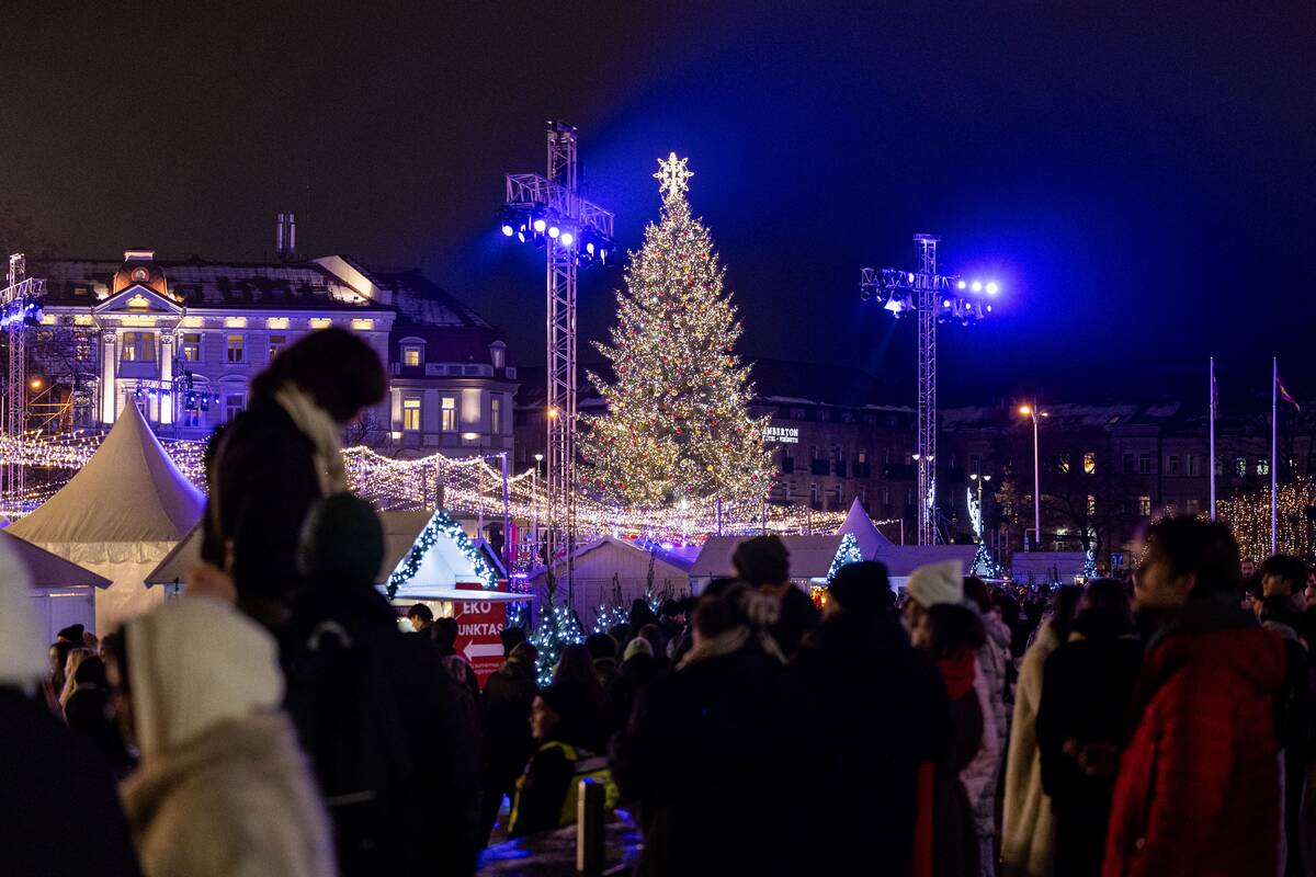 Vilniaus Kalėdų eglės įžiebimas