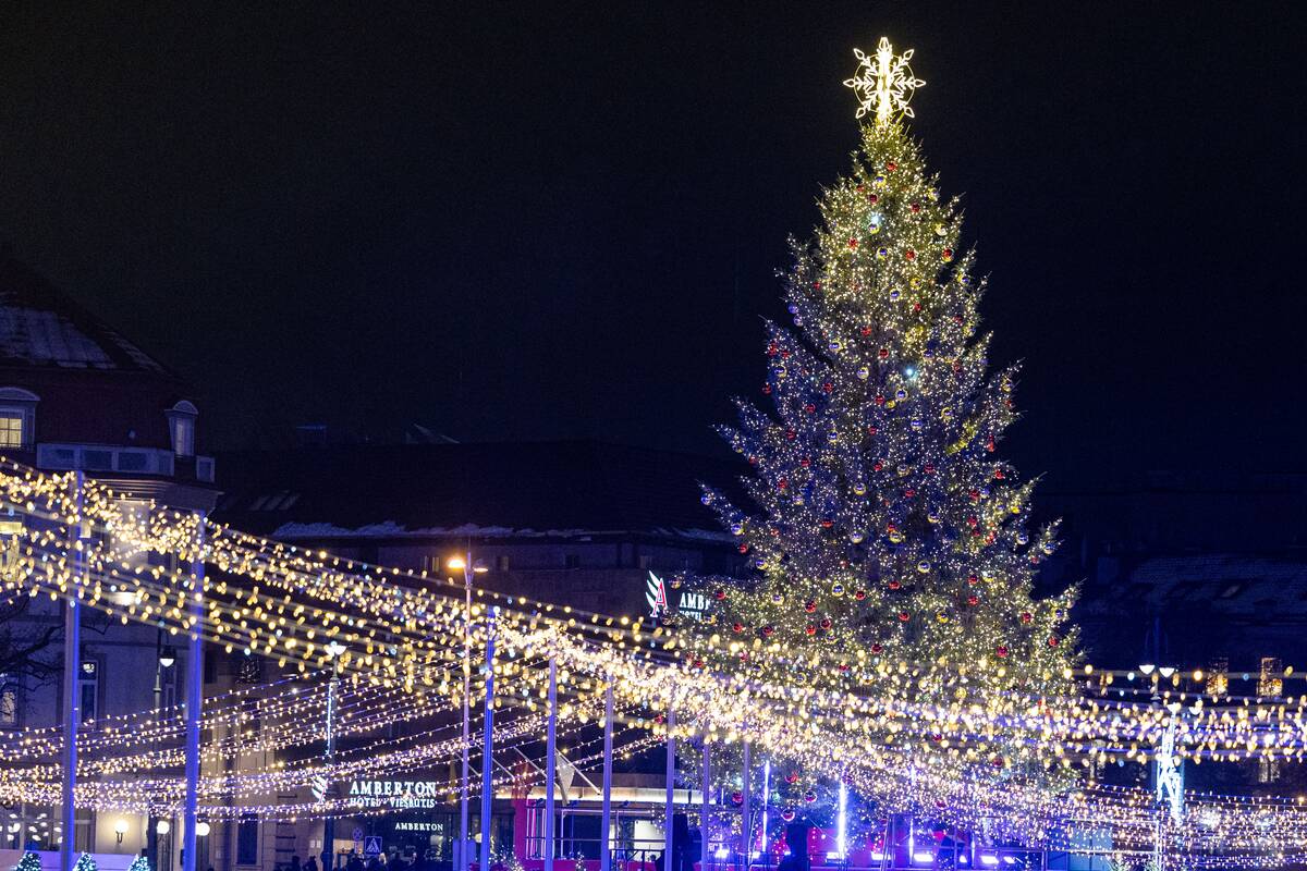Vilniaus Kalėdų eglės įžiebimas