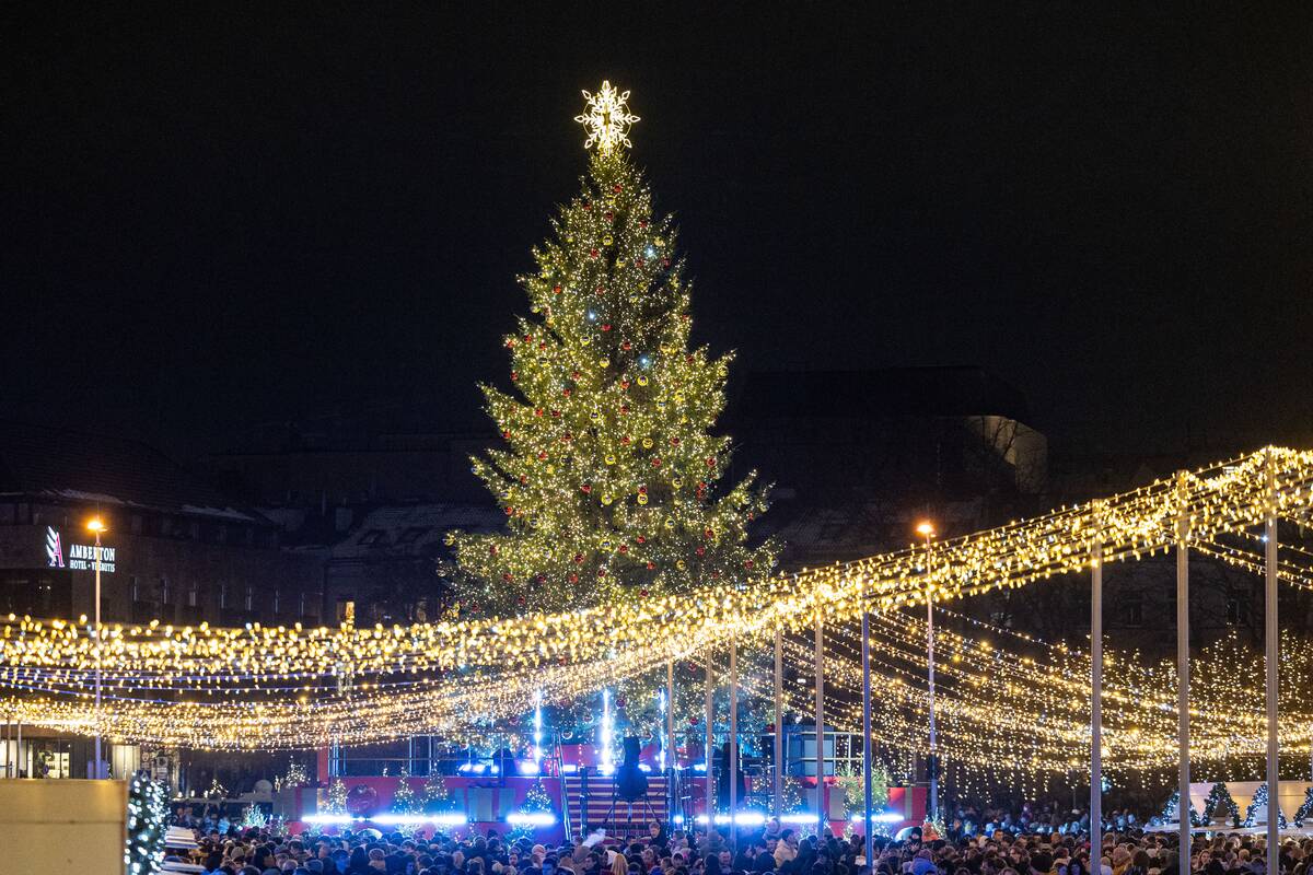 Vilniaus Kalėdų eglės įžiebimas