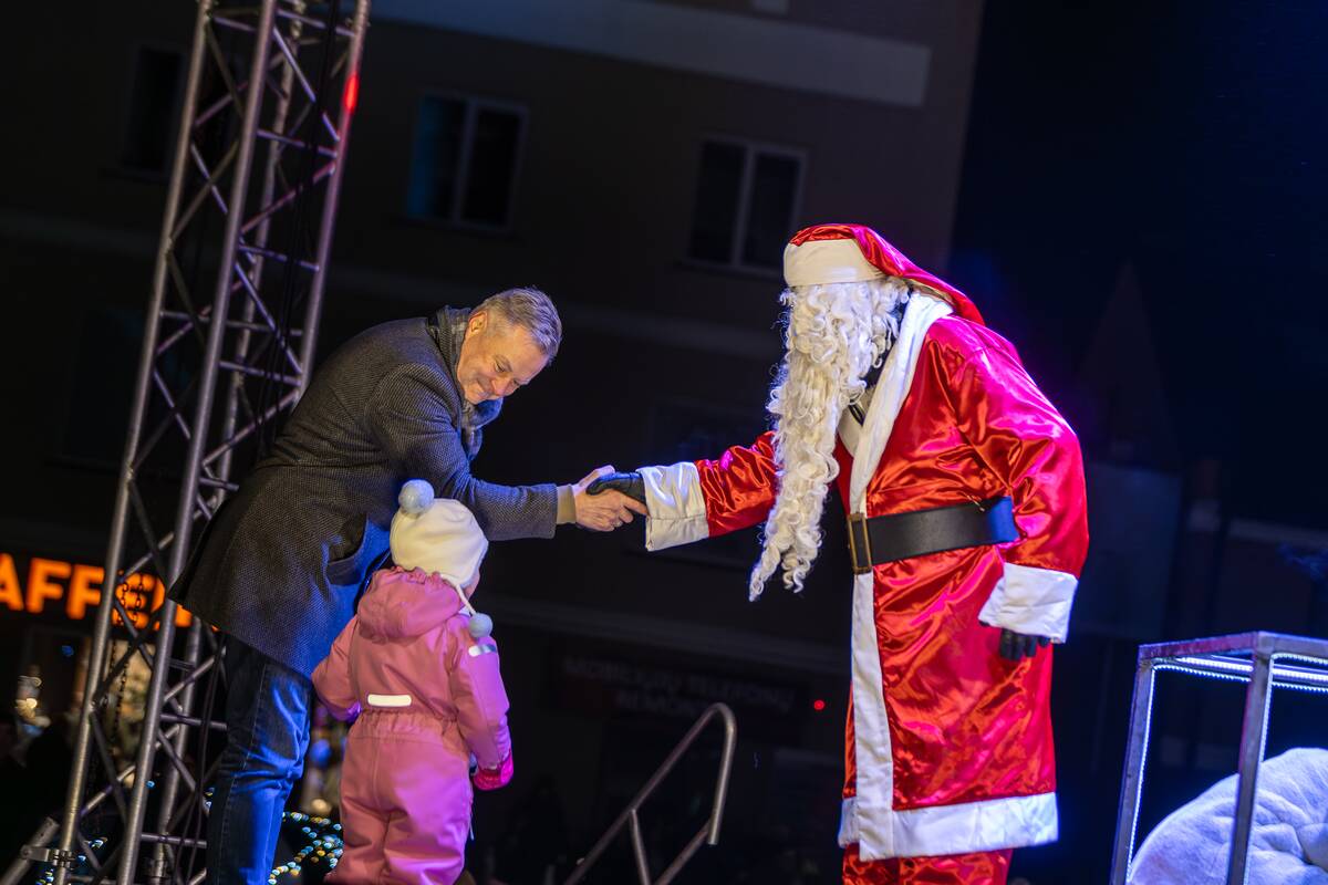 Sužibo Kretingos eglė