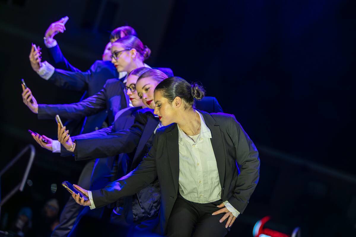 Sužibo Kretingos eglė