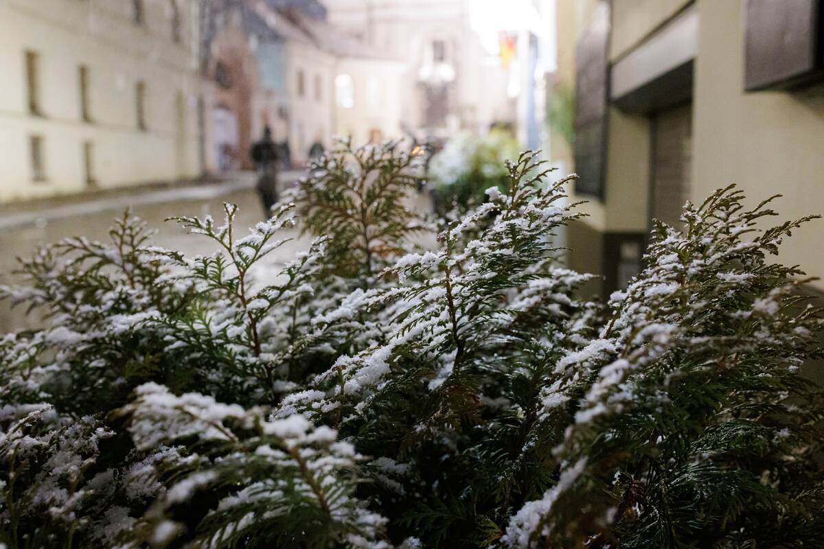 Ketvirtadienio vakarą Vilnių nuklojo sniegas