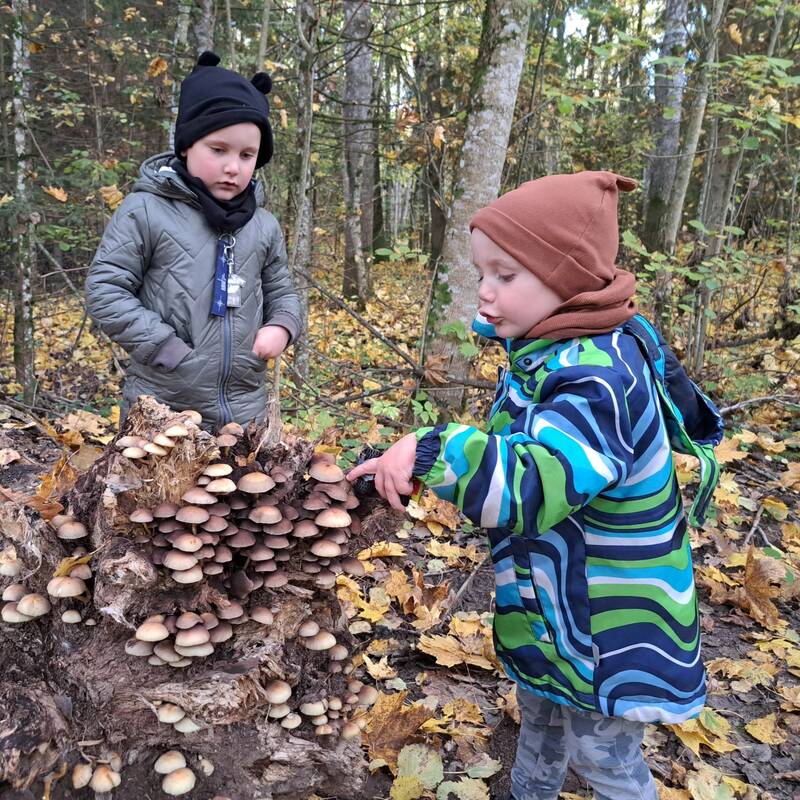 Smagu: U. Užtupienės vaikai, J. Leikos anūkai, miške.