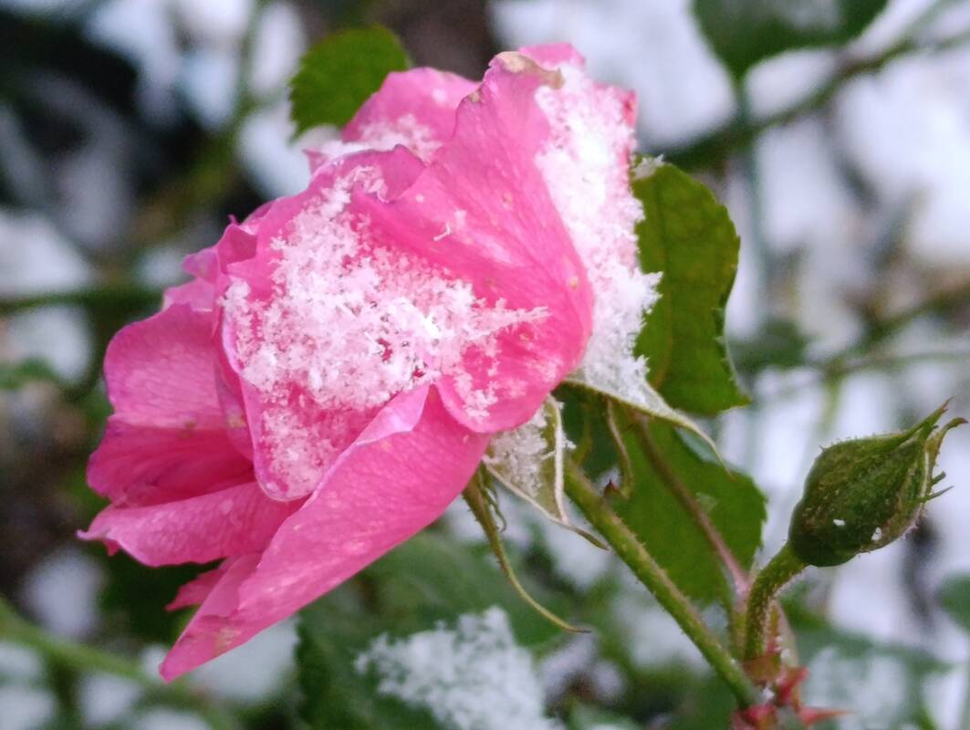 Orai: sulauksime sniego, bus slidu