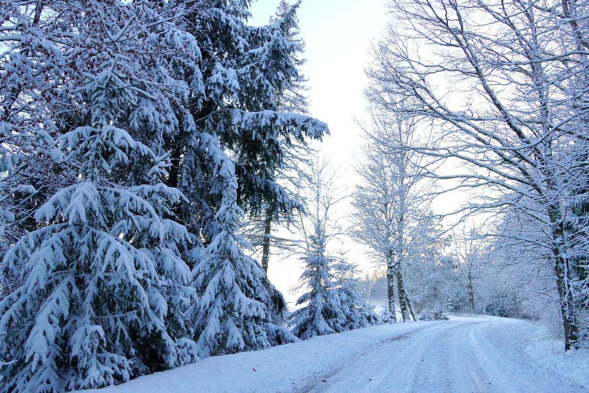 Sinoptikų prognozė: situacija – ne geresnė nei prieš dieną, o kas laukia savaitgalį?