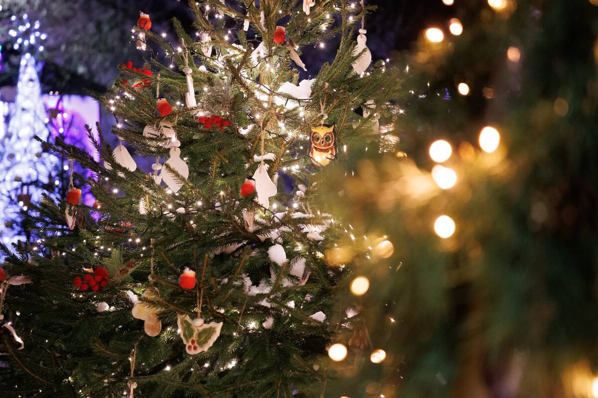 Jonavoje įžiebta Kalėdų eglutė ir Kalėdinių eglučių miestelis