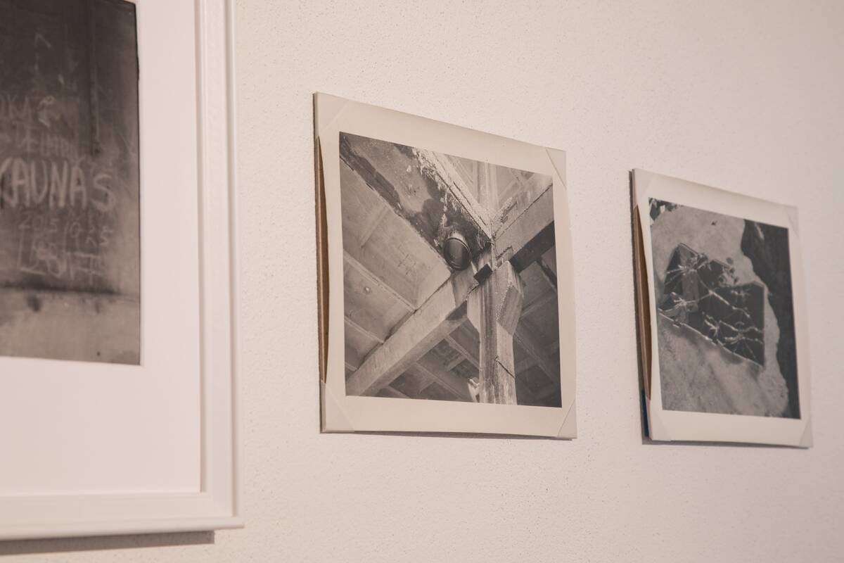 Grupinės parodos „Kismas: Santykiai“ fragmentas.