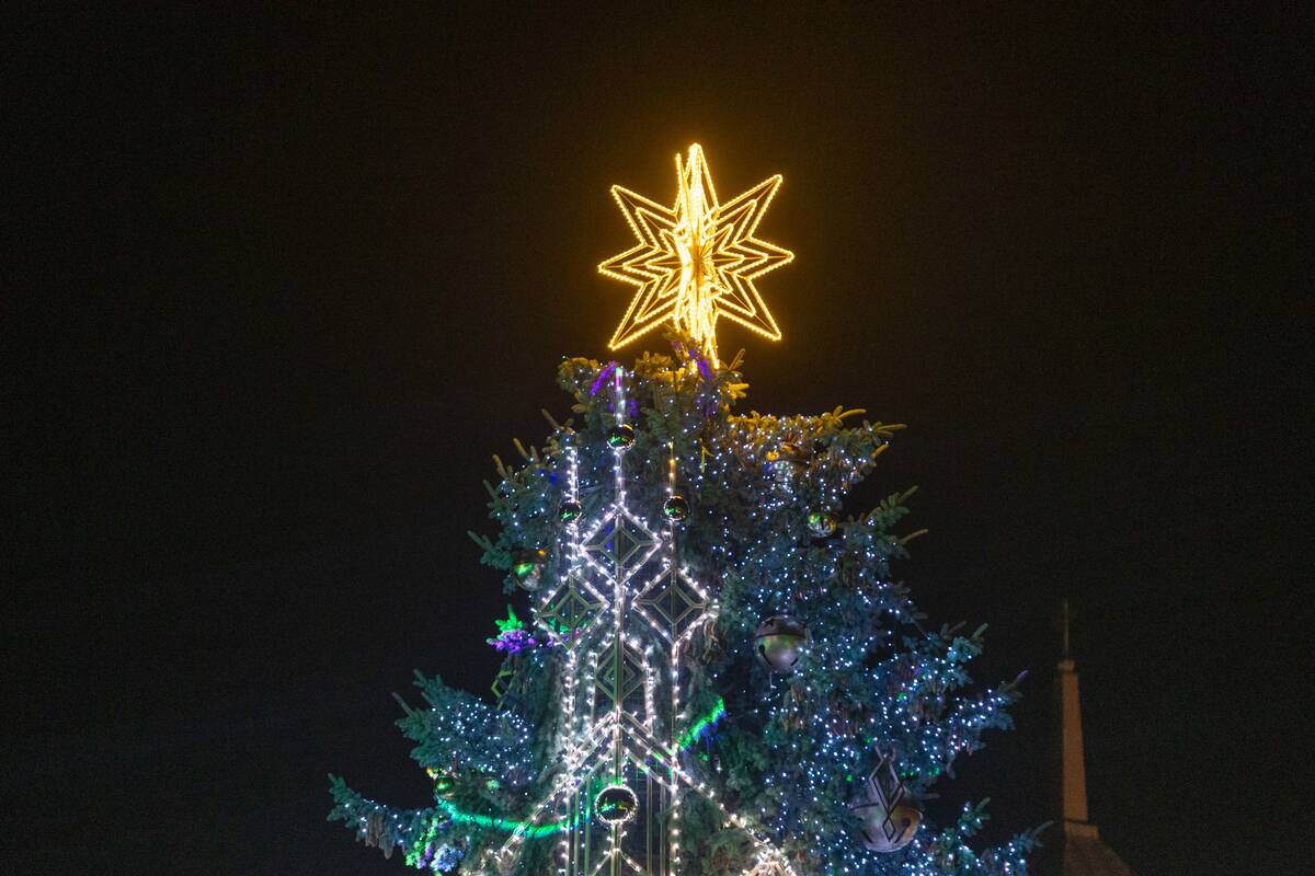 Kauno miesto Kalėdų eglė 2025 m.