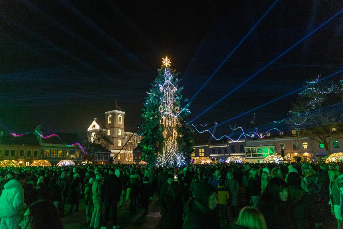 Kauno miesto Kalėdų eglė 2025 m.
