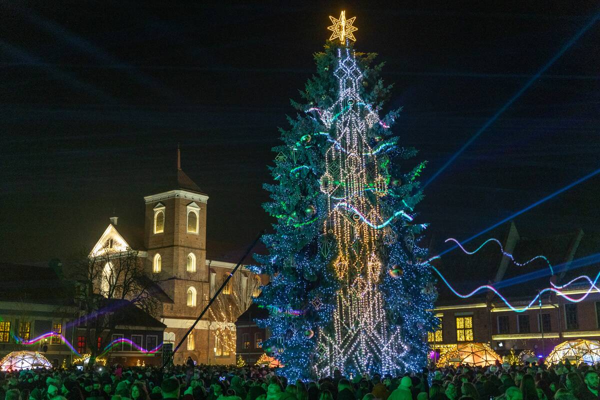 Kauno miesto Kalėdų eglė 2025 m.