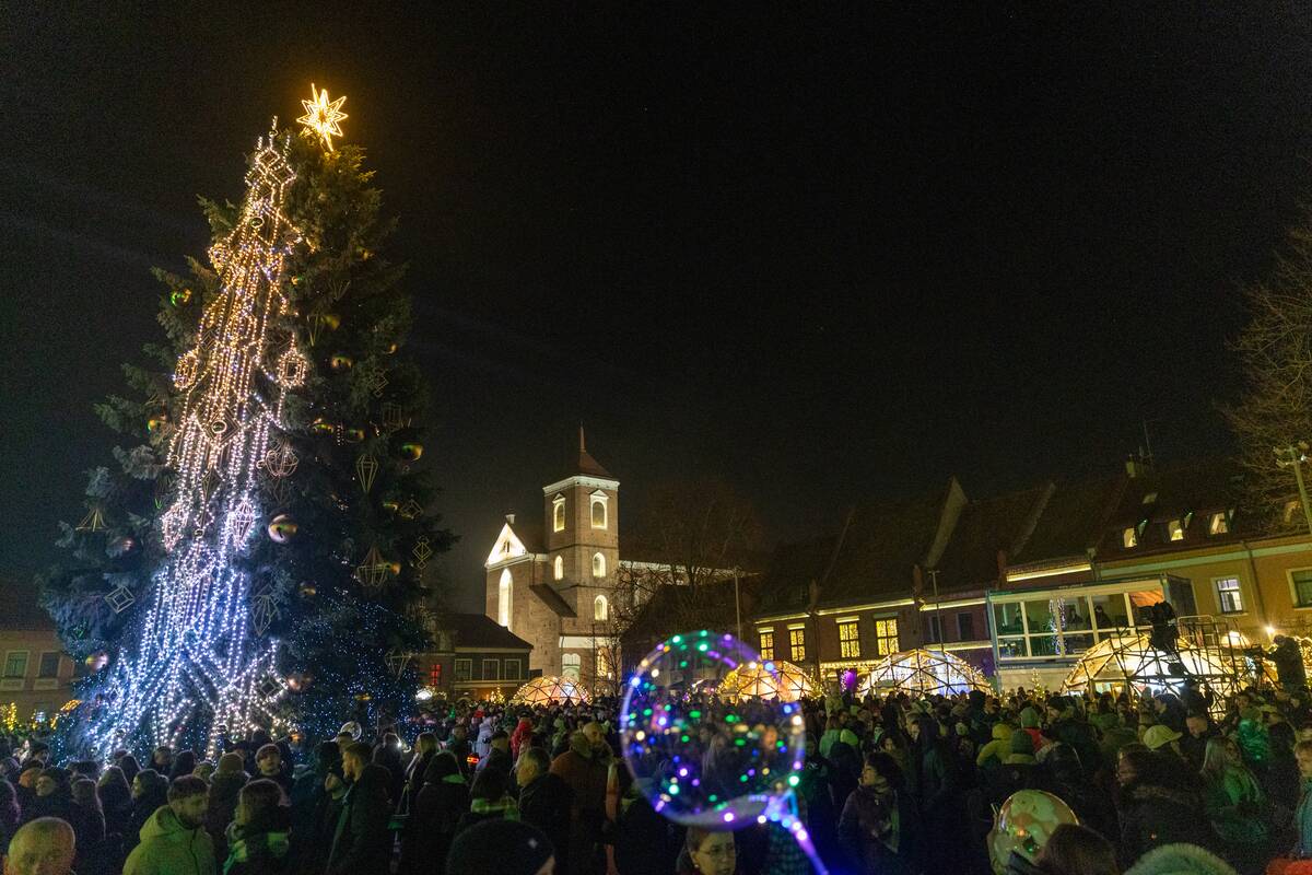 Kauno miesto Kalėdų eglė 2025 m.