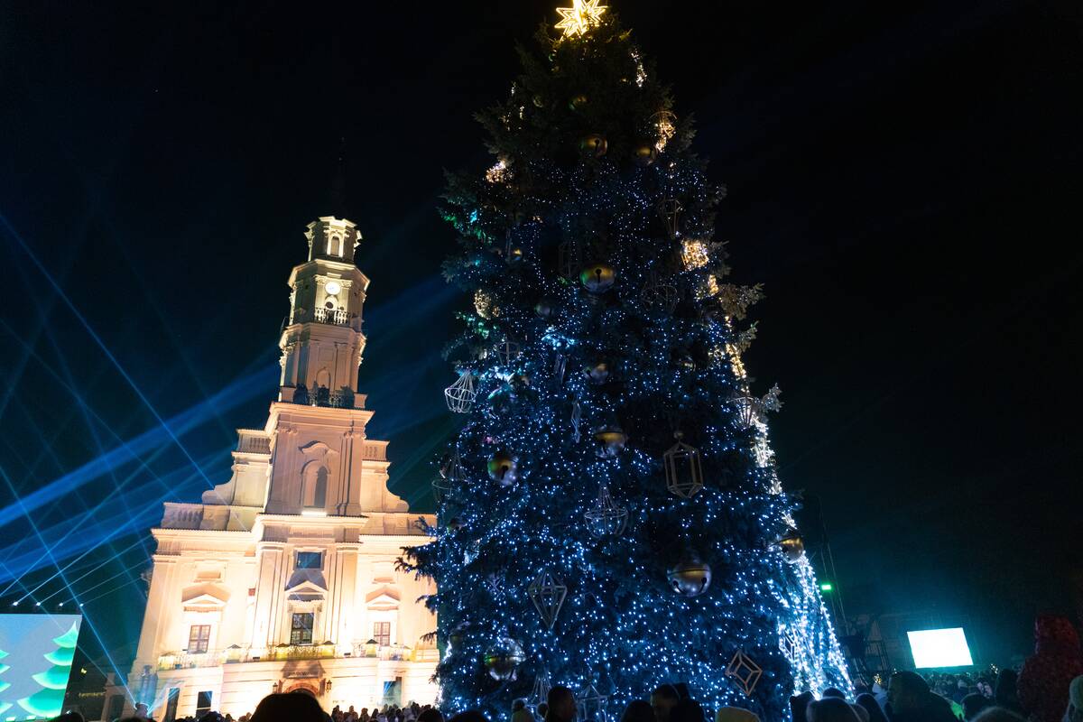 Kauno miesto Kalėdų eglė 2025 m.