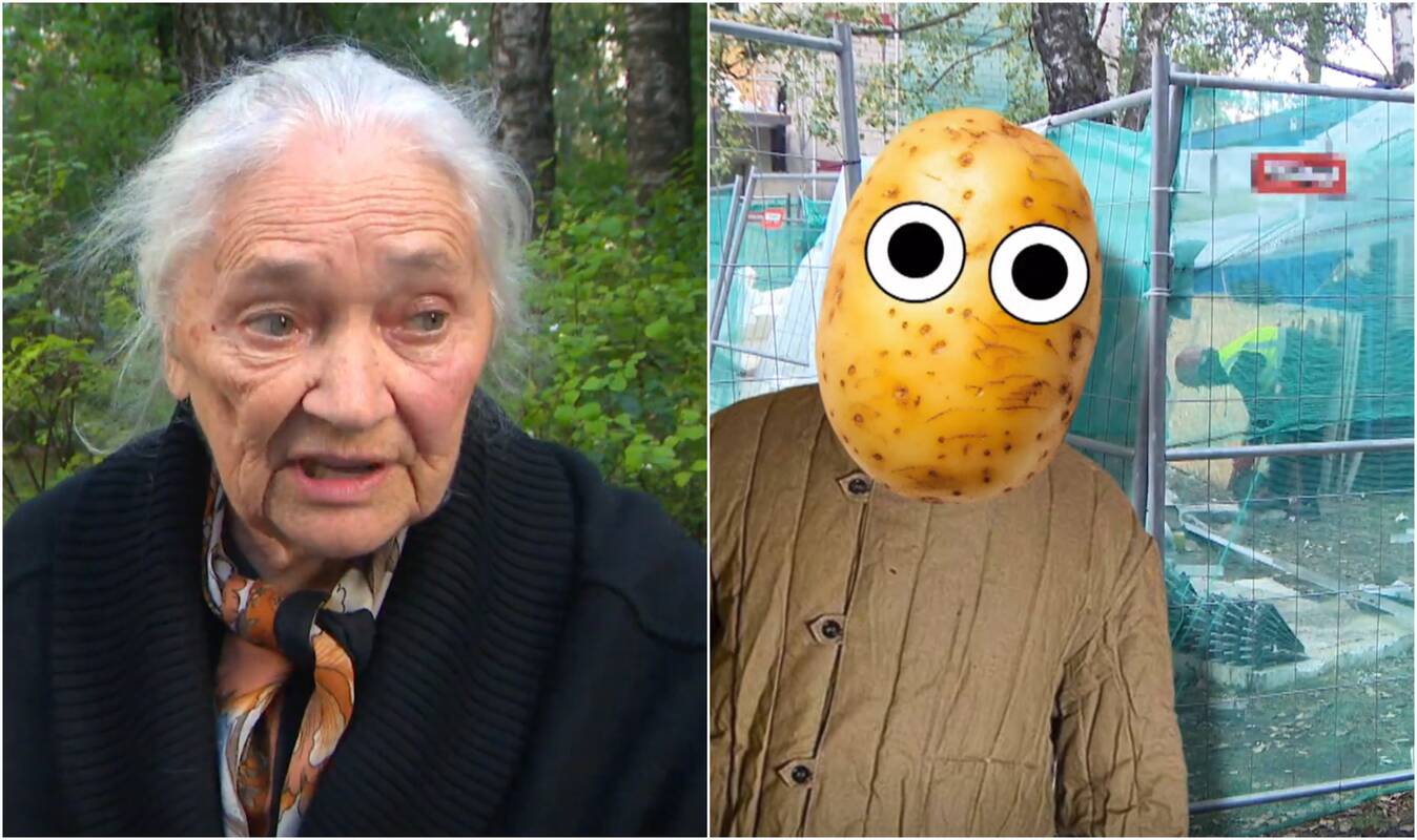 Senjorė susipyko su statybininkais: jis užsirūkė ir išėjo