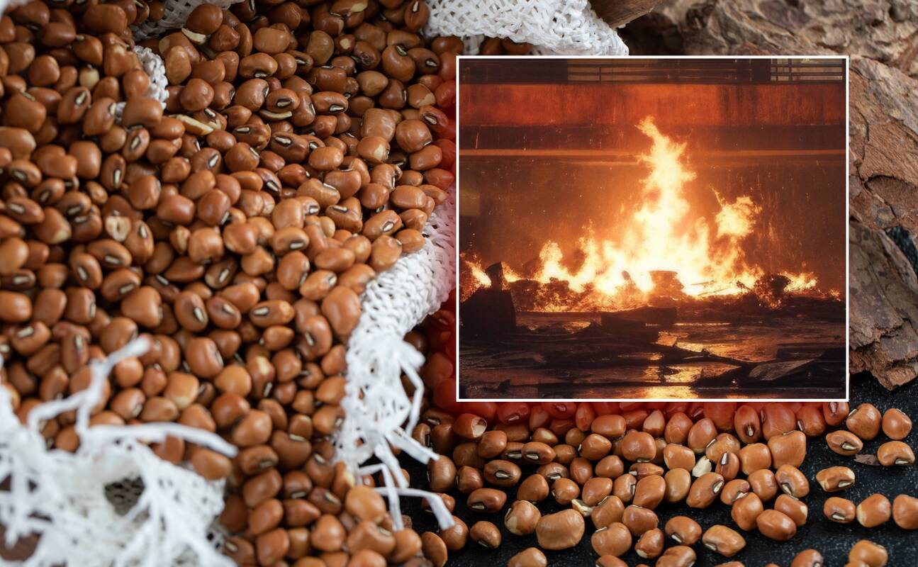 Skuodo rajone užsidegė 60 tonų pupų