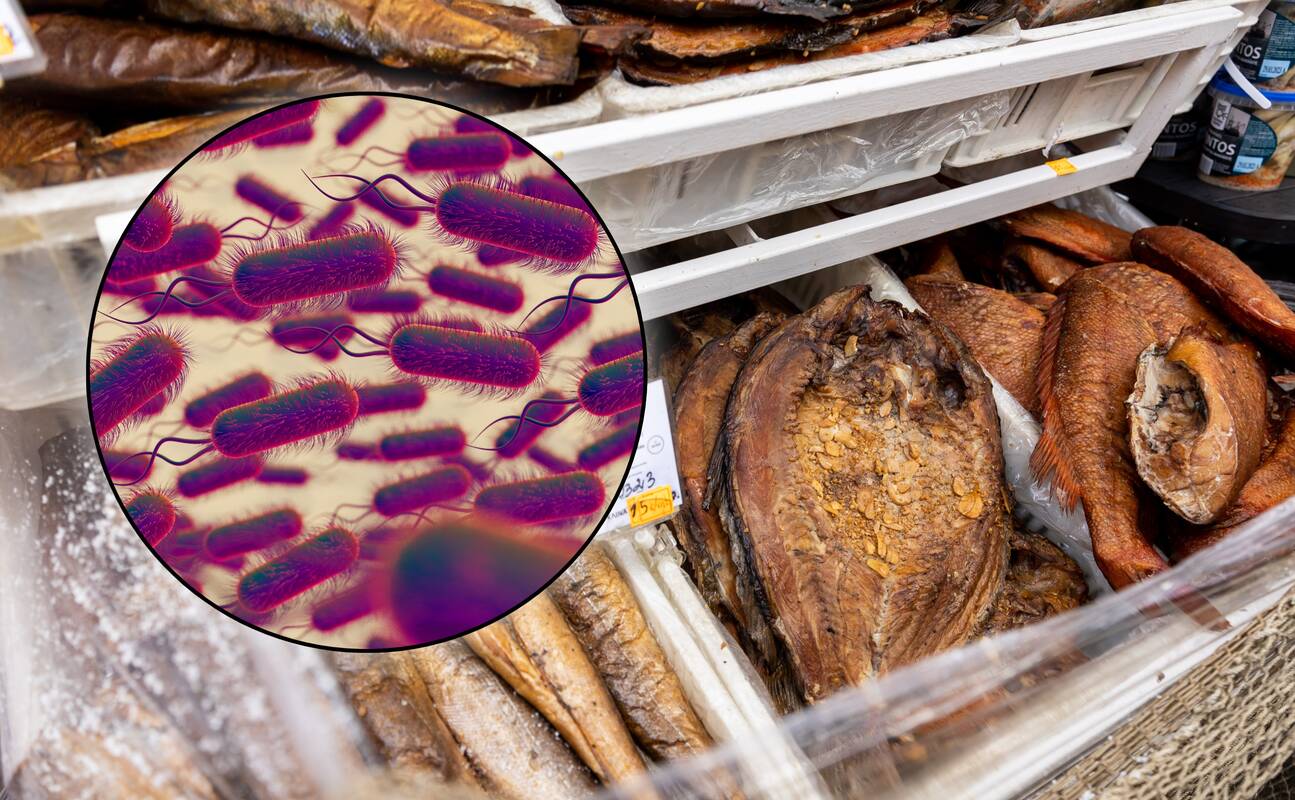 Užsikrėtus itin pavojinga liga – Vilniaus turguje skubus patikrinimas