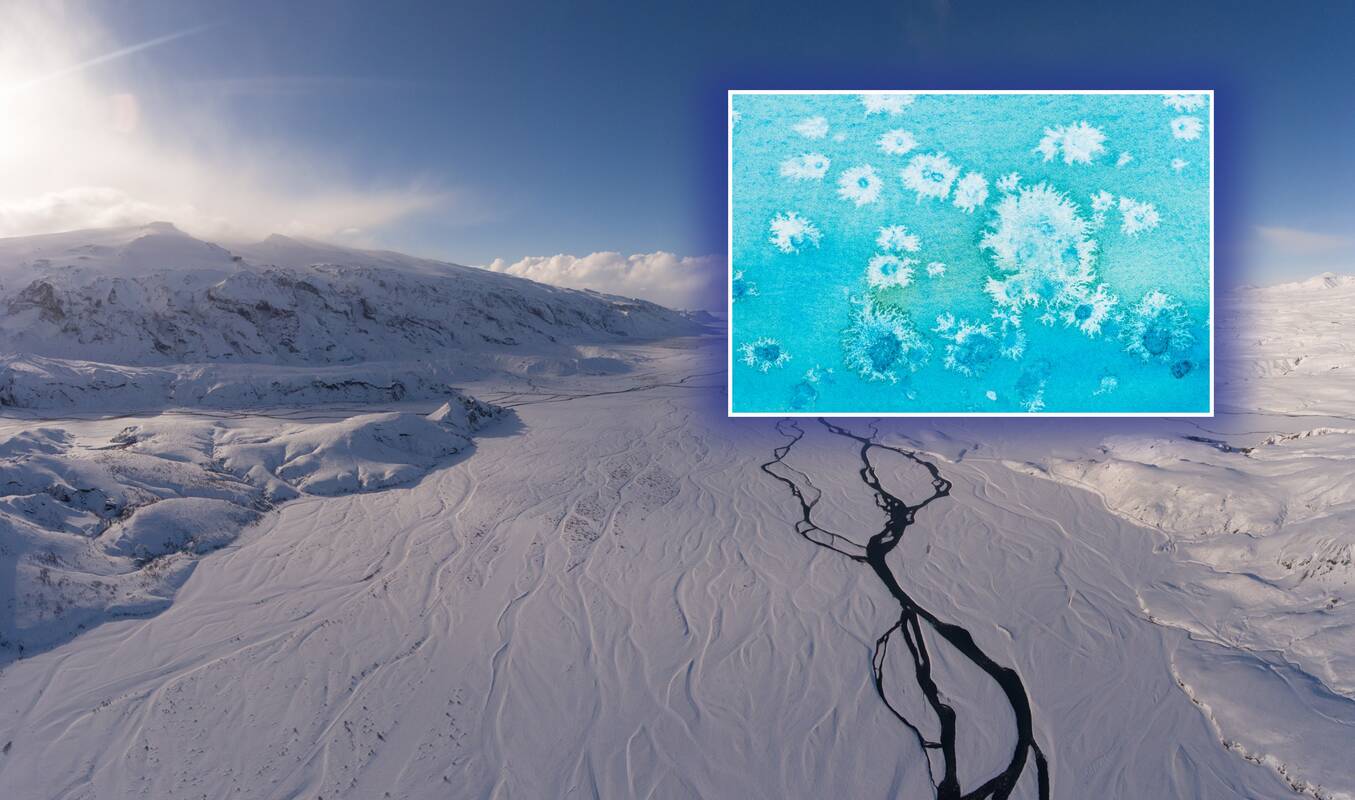 Amžinojo įšalo paslaptis: mokslininkai įspėja apie mikrobų grėsmę klimatui