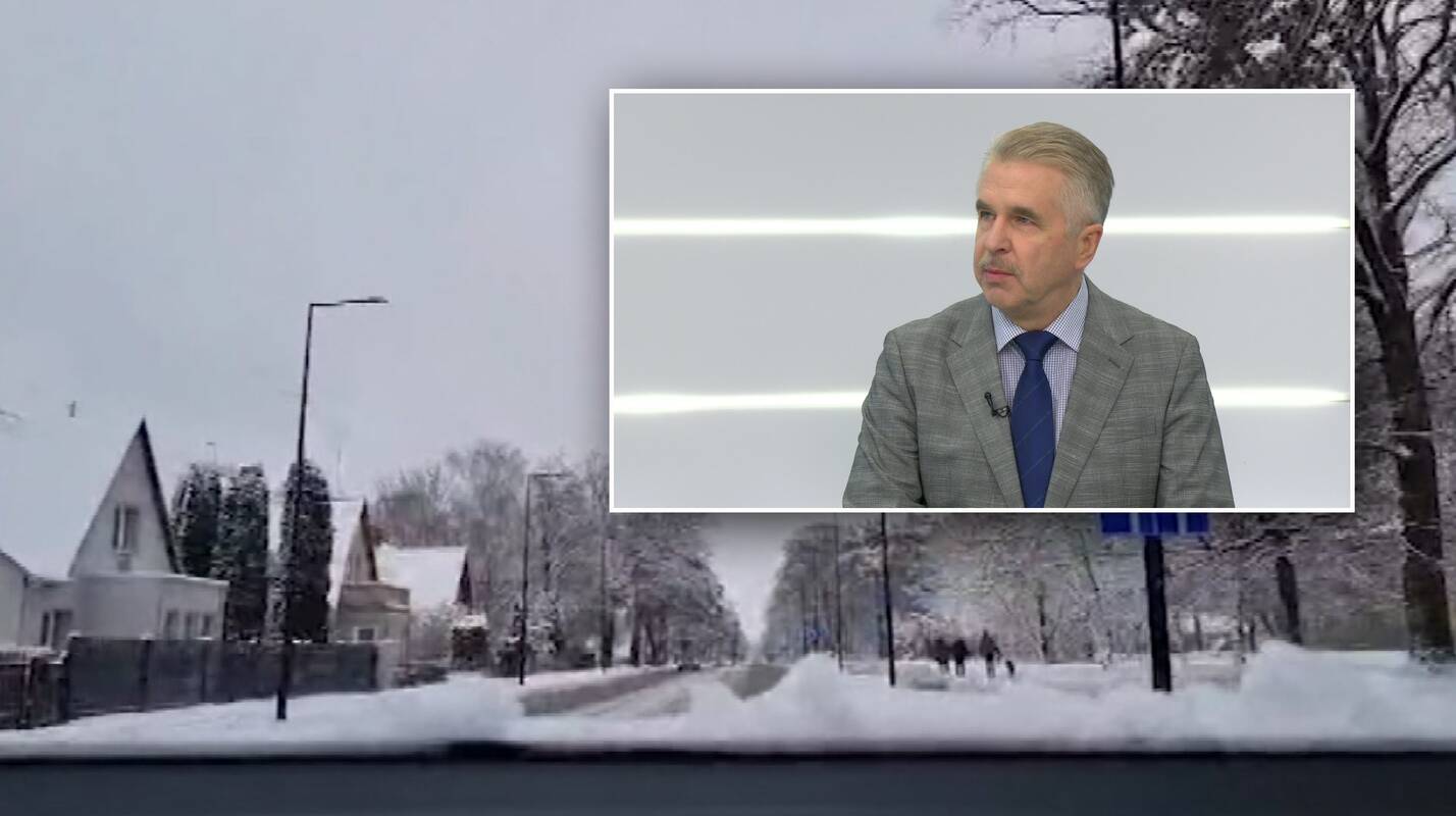 Profesorius paaiškino, ką reiškia gausus snygis: ar laukia snieginga žiema?