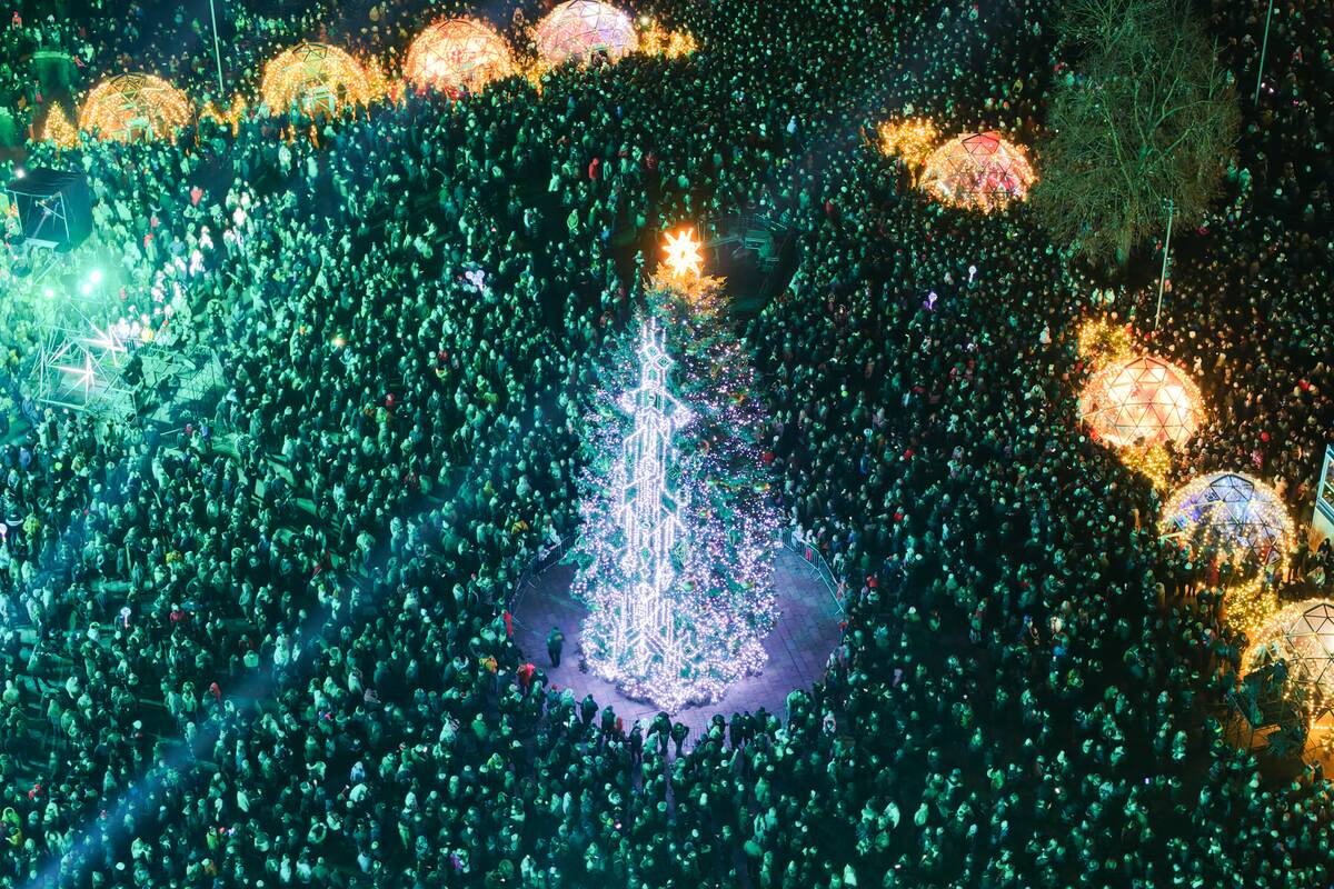 Kauno Kalėdų eglutė iš paukščio skrydžio