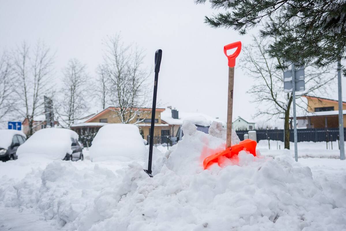 Bus daug sniego: ragina net atidėti keliones