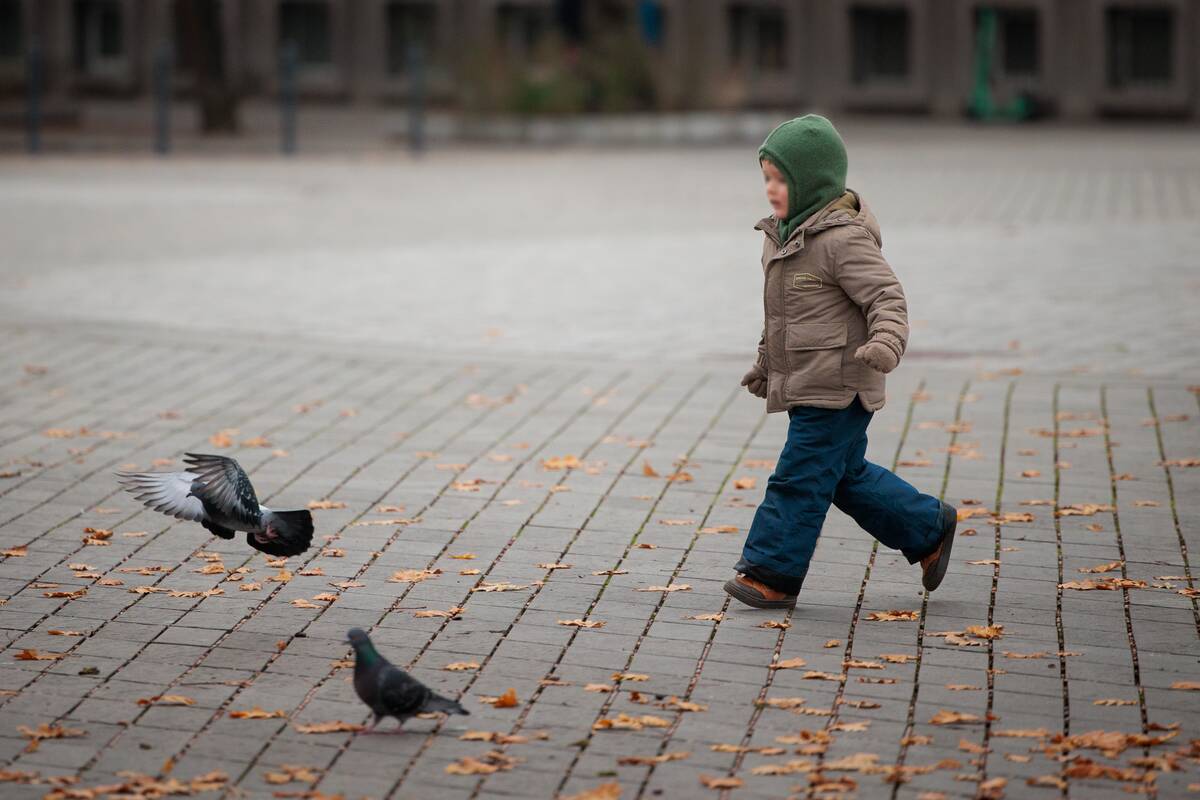 Kauniečių diena (2025-11-07)