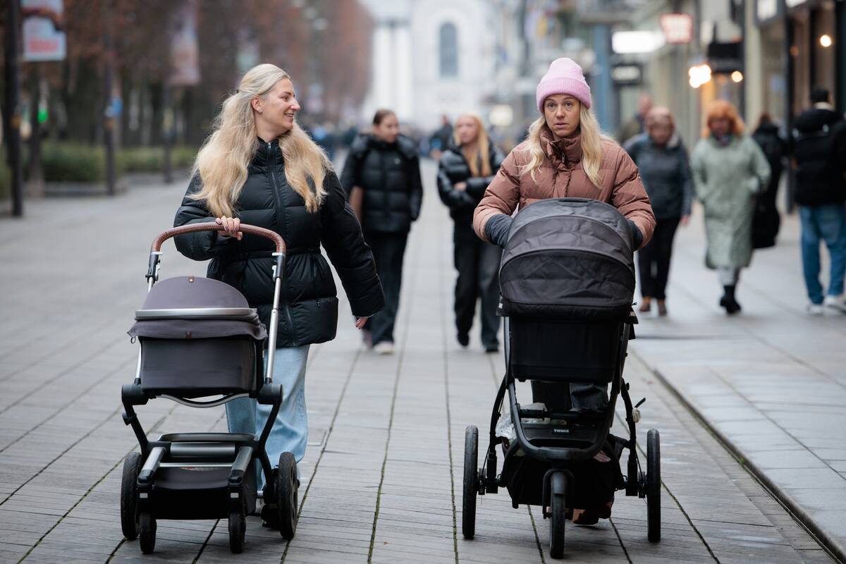 Kauniečių diena (2025-11-11)