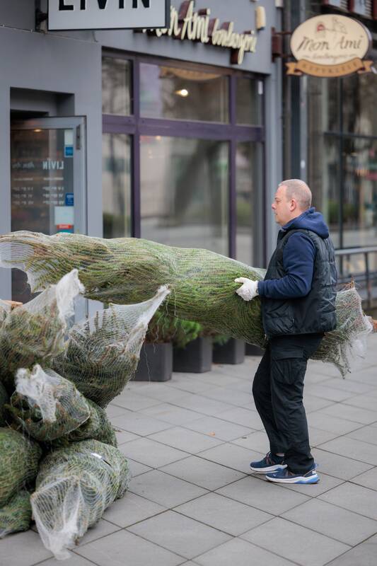 Kauniečių diena (2025-11-13)