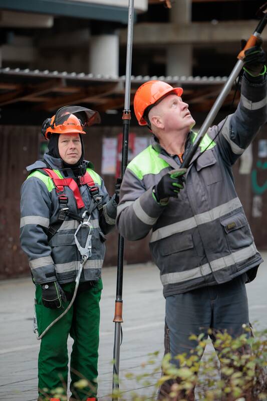 Kauniečių diena (2025-11-17)