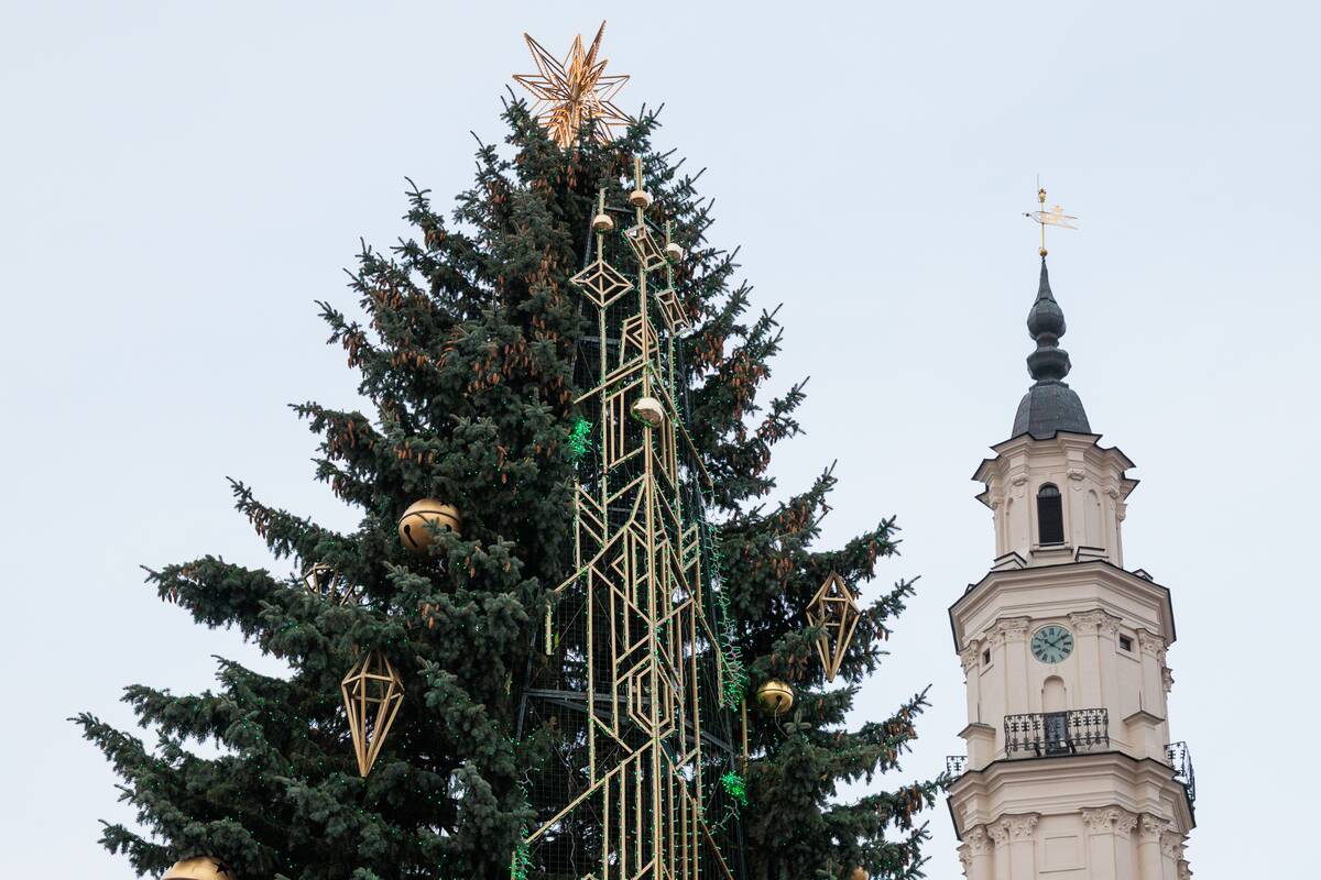 Kaunas pirmasis įžiebs Kalėdų eglę