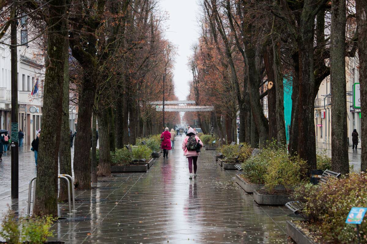 Kauniečių diena (2025-11-19)