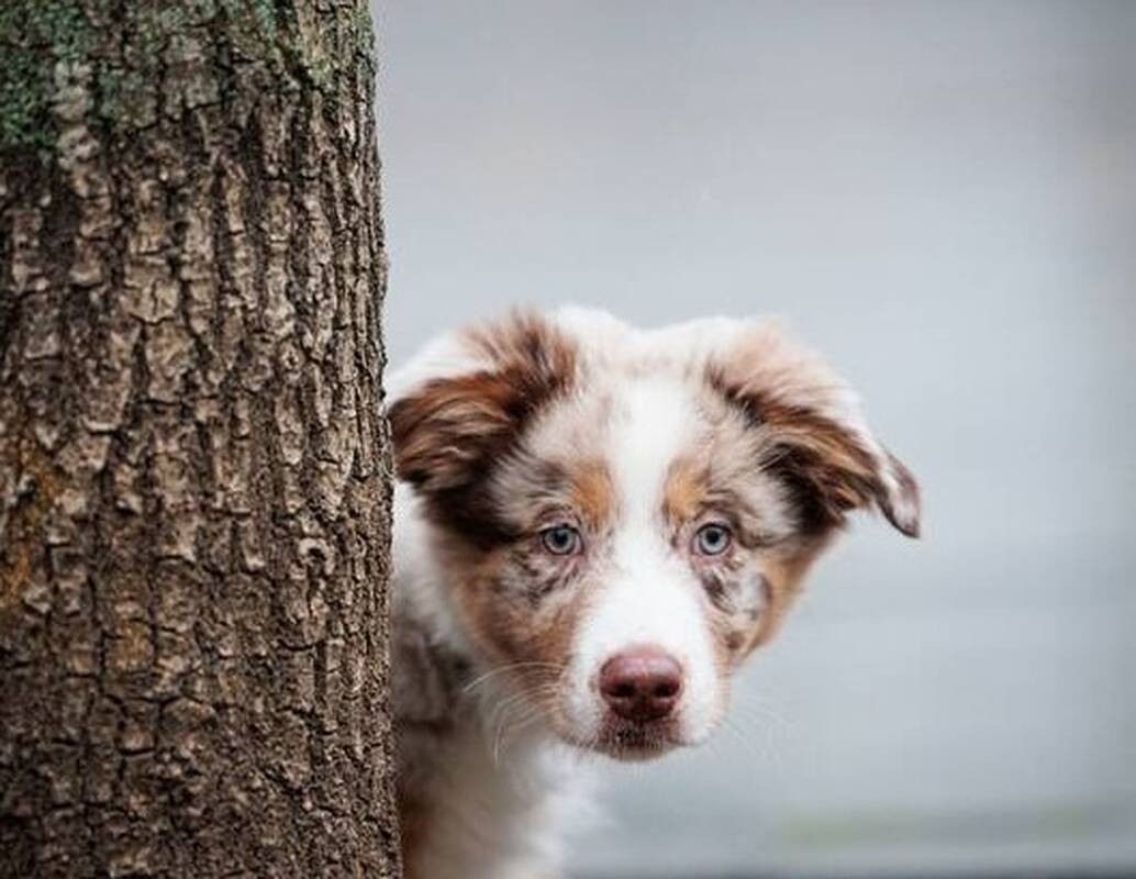 Dienos horoskopas 12 Zodiako ženklų (lapkričio 20 d.)