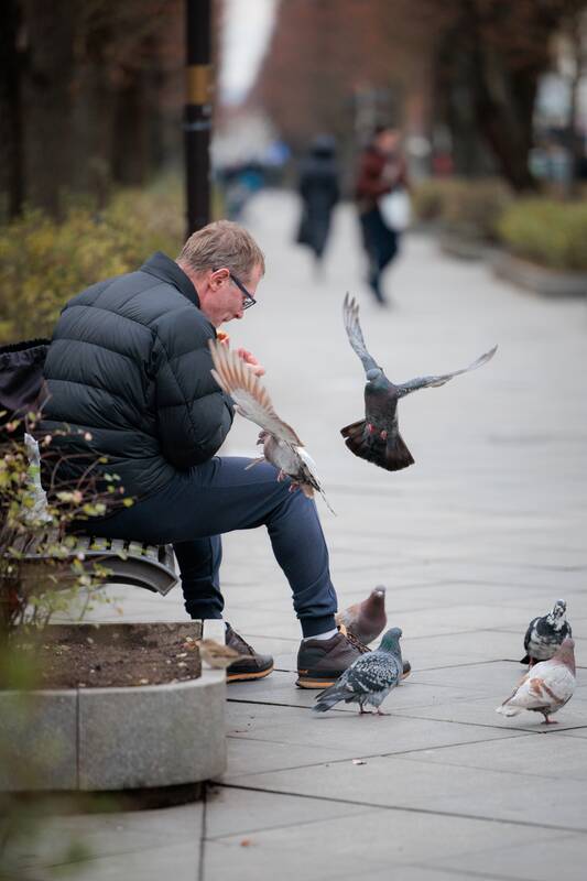 Kauniečių diena (2025-11-21)