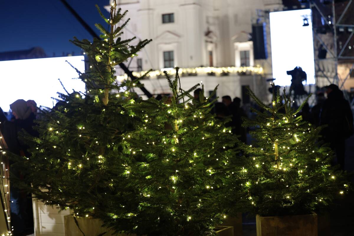 Kauniečiai renkasi į Kalėdų eglės įžiebimo šventę