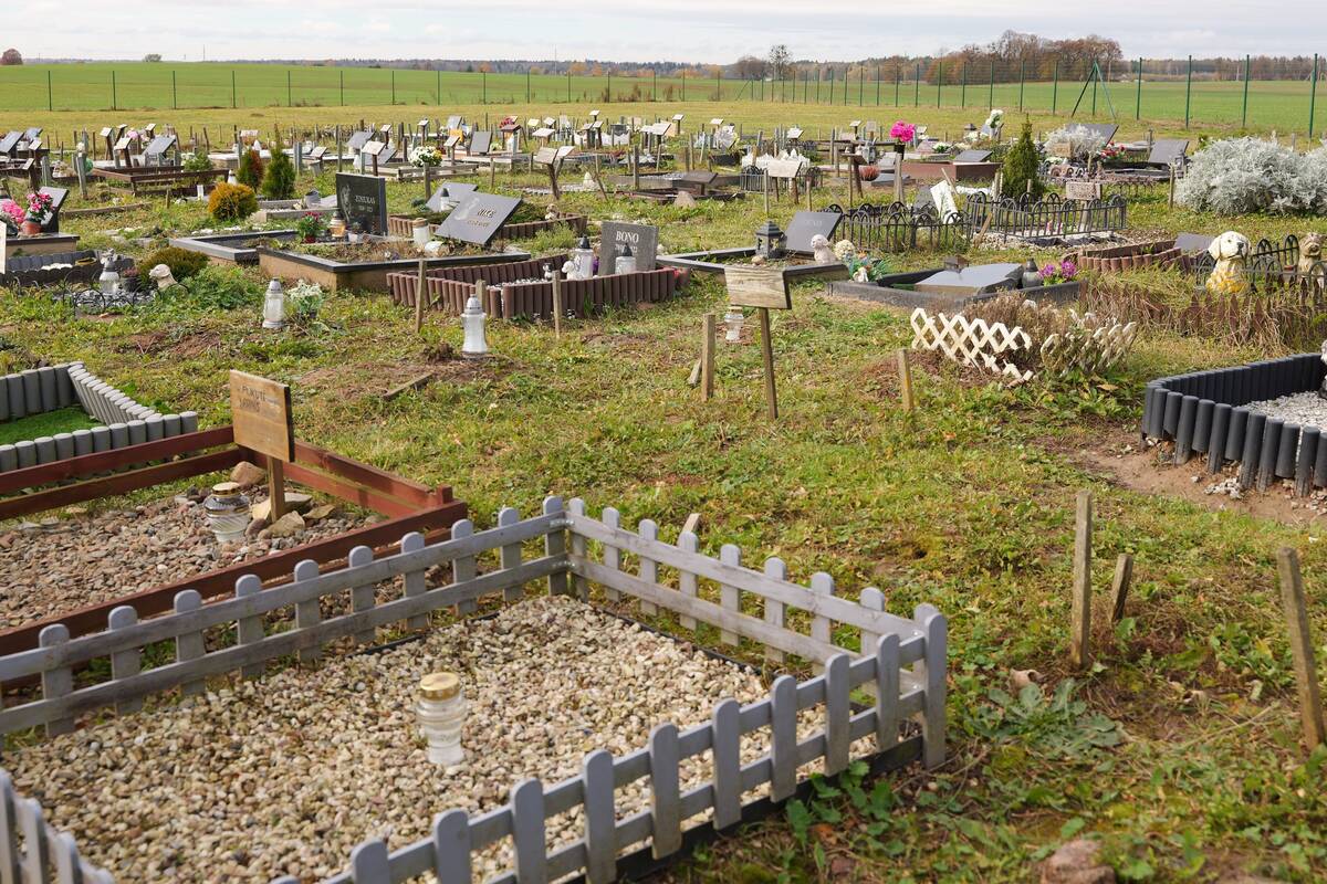 Gyvūnėlių kapinėse - priminimas apie keturkojus šeimos narius