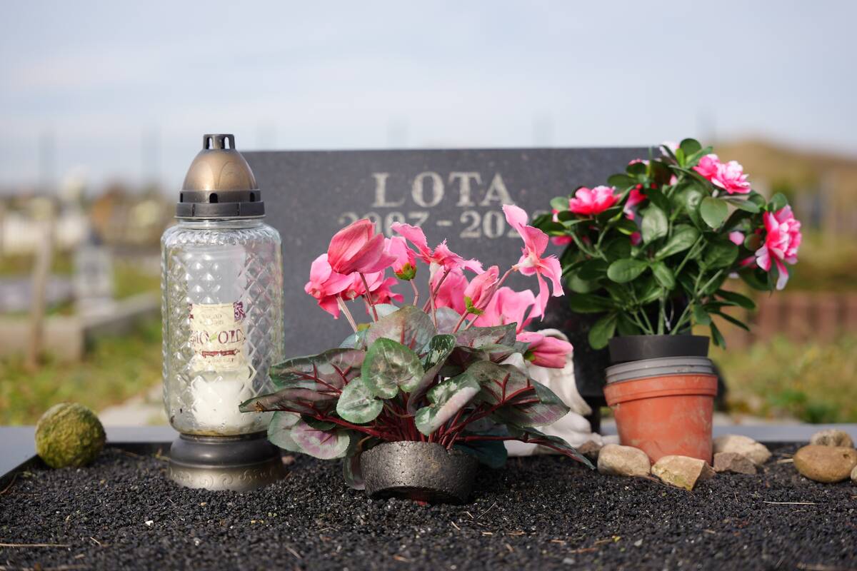 Gyvūnėlių kapinėse - priminimas apie keturkojus šeimos narius