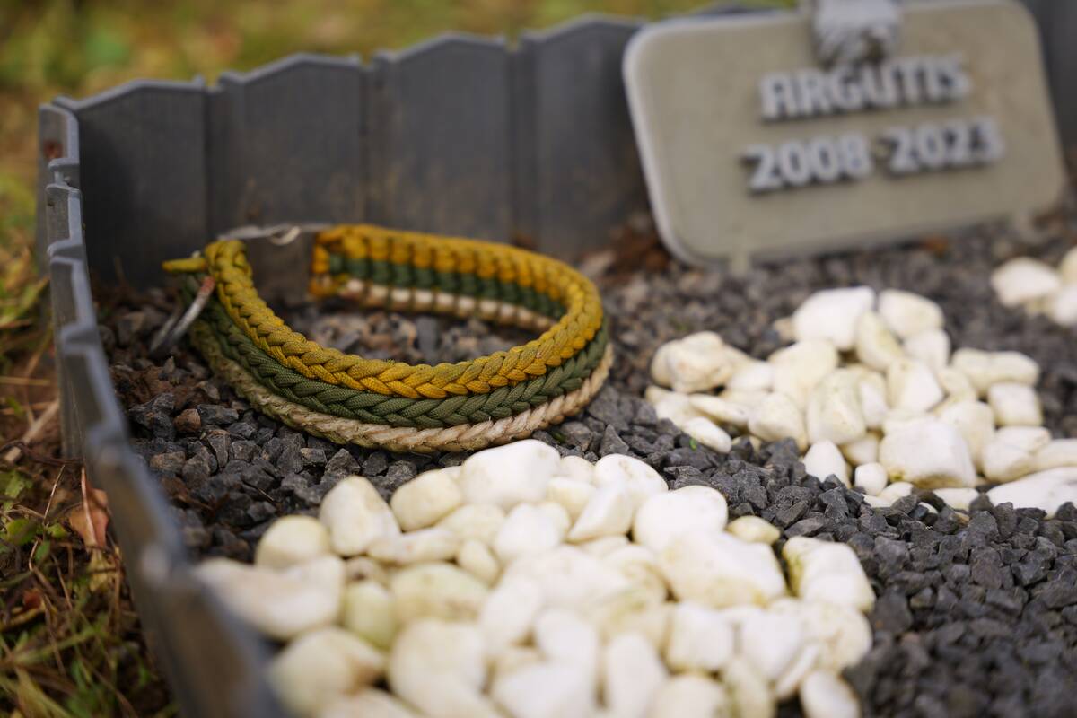 Gyvūnėlių kapinėse - priminimas apie keturkojus šeimos narius