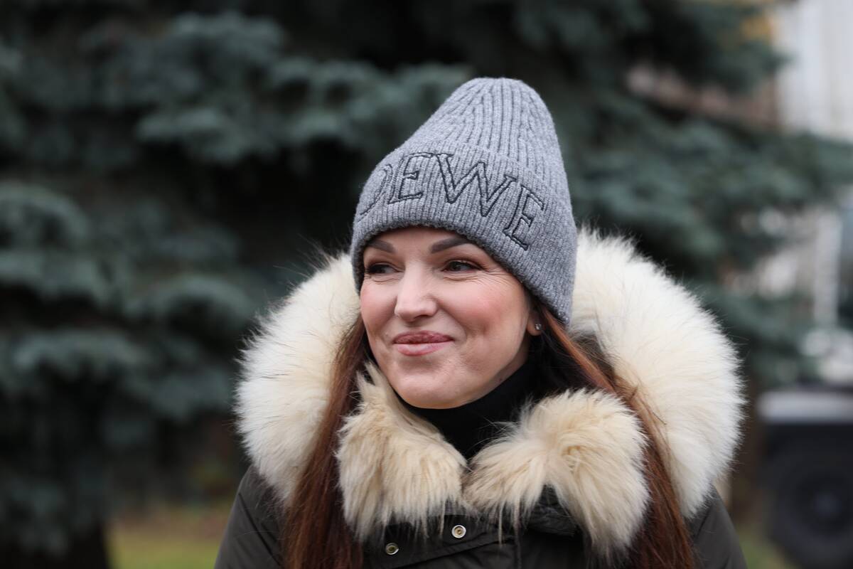 Kauno Kalėdų eglės pjovimas