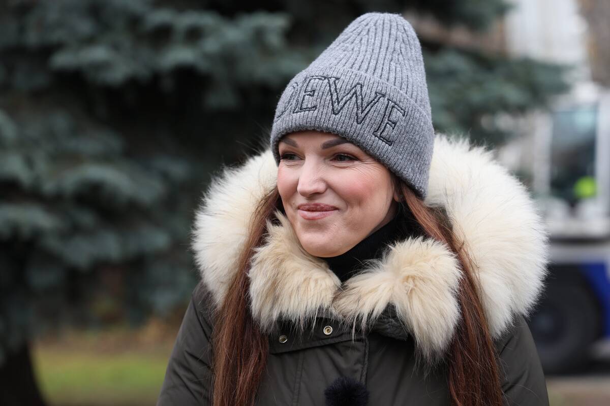 Kauno Kalėdų eglės pjovimas