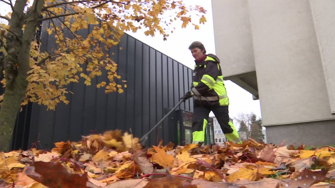 Žiema dar neatėjo, o darbuotojai jau ant kojų 