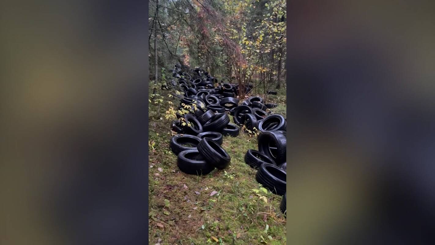 Įtaria, kas miškuose išmetė milžiniškus padangų kiekius