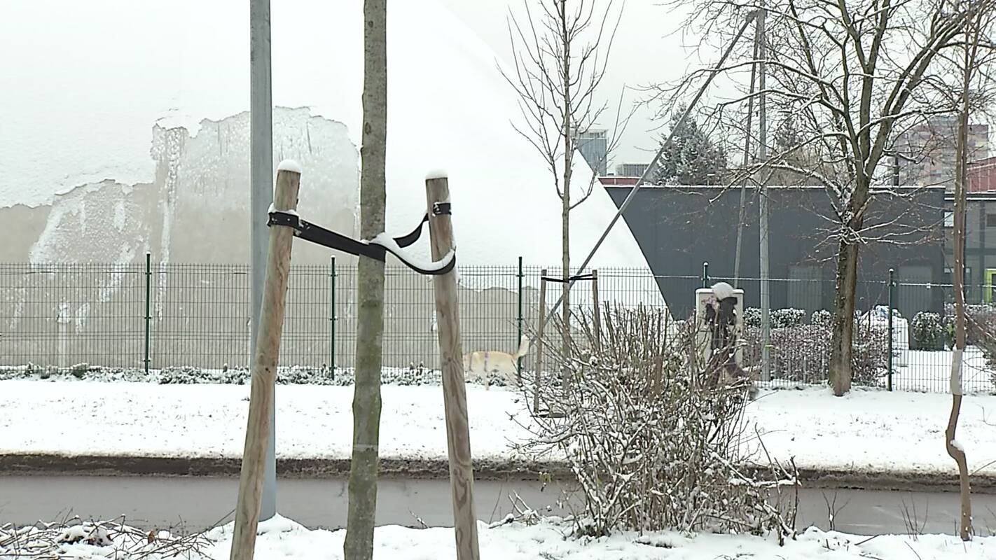 Lietuvoje – pirmoji šalčio auka