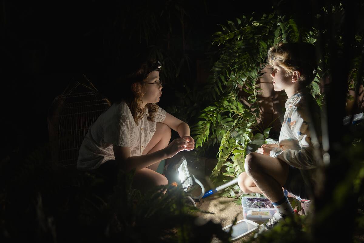 Kitoks: pripažinęs, kad šių dienų teatre žanro grynuolių lieka vis mažiau, savo spektaklį K. Zajauskas vadina eksperimentiniu. „Tai labai meditatyvus spektaklis, kuriame žiūrovui paliekama teisė sujungti dramaturginius spektaklio taškus“, – sako jis.