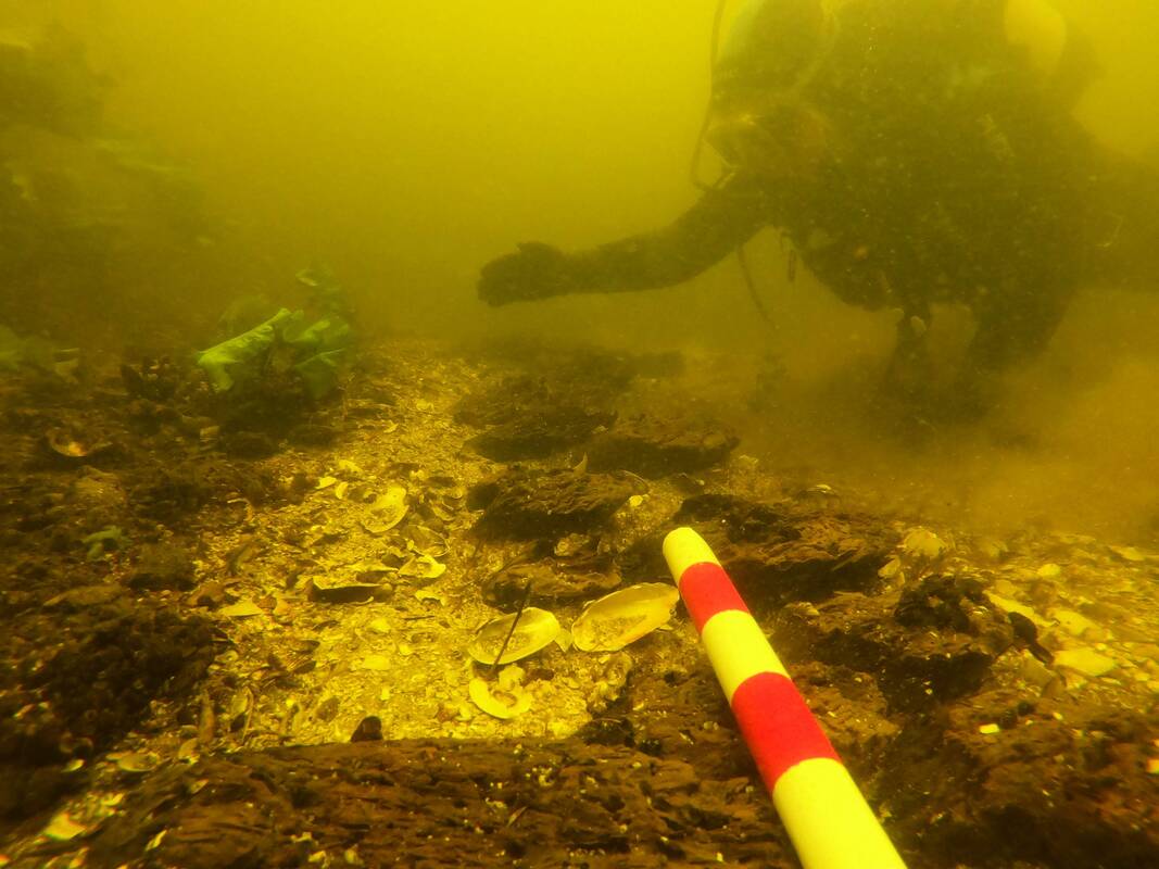 Žvejybinė užtvara upėje