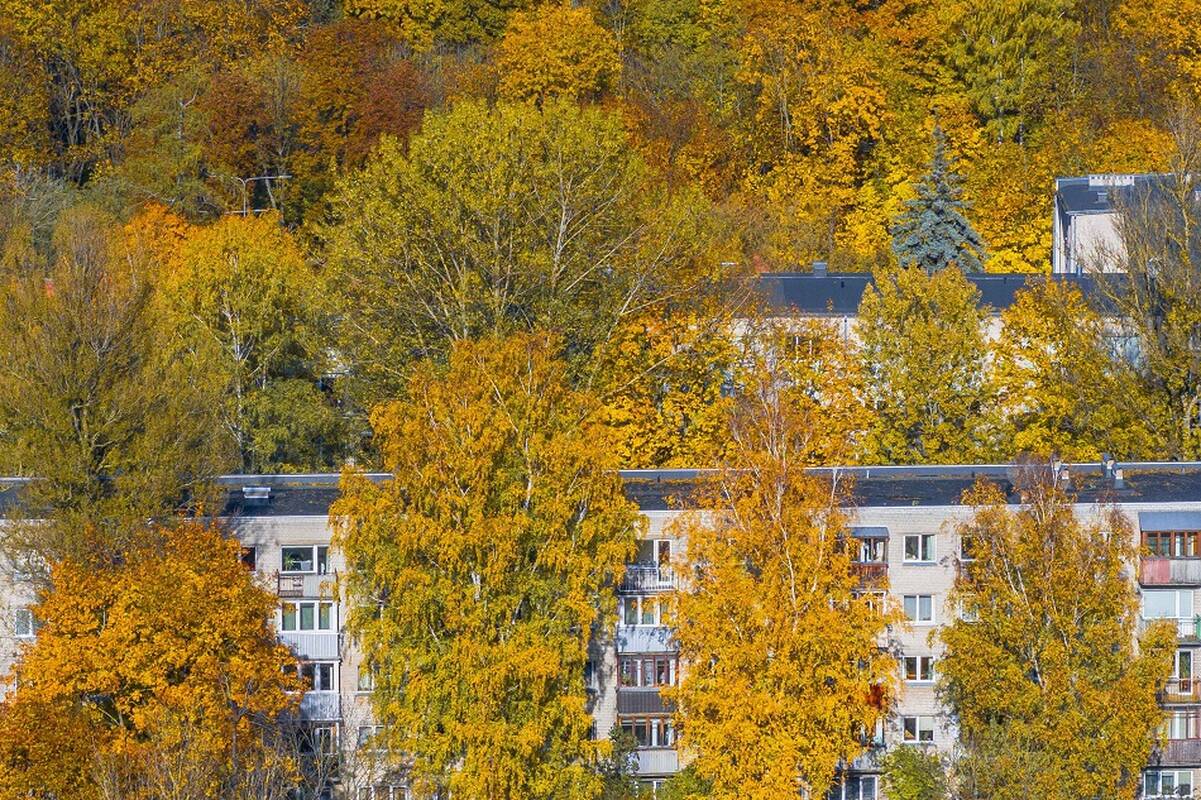 Ministerija dega žalią šviesą daugiabučių bendrijoms