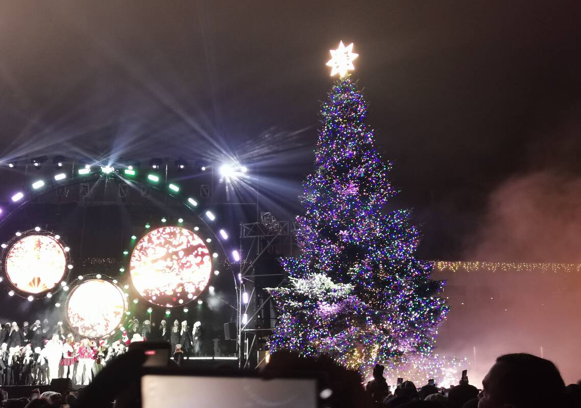 Klaipėdoje įžiebta pagrindinė miesto eglė