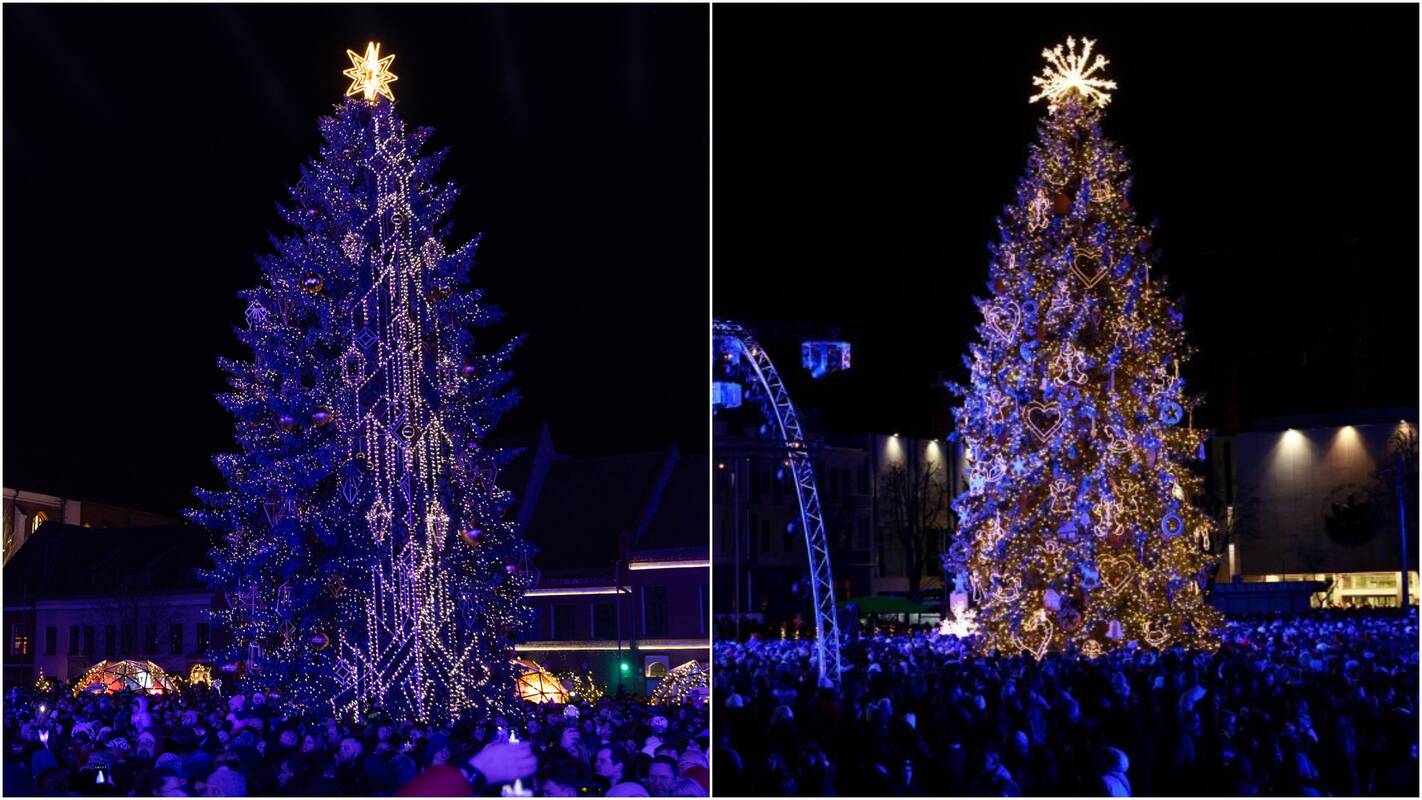 Kairėje – 2025 m. eglė, dešinėje – 2024 m.