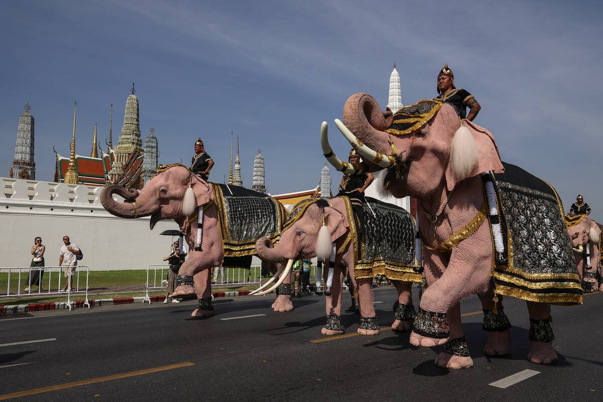 Mirusios karalienės garbei Bankoke surengtas dramblių paradas