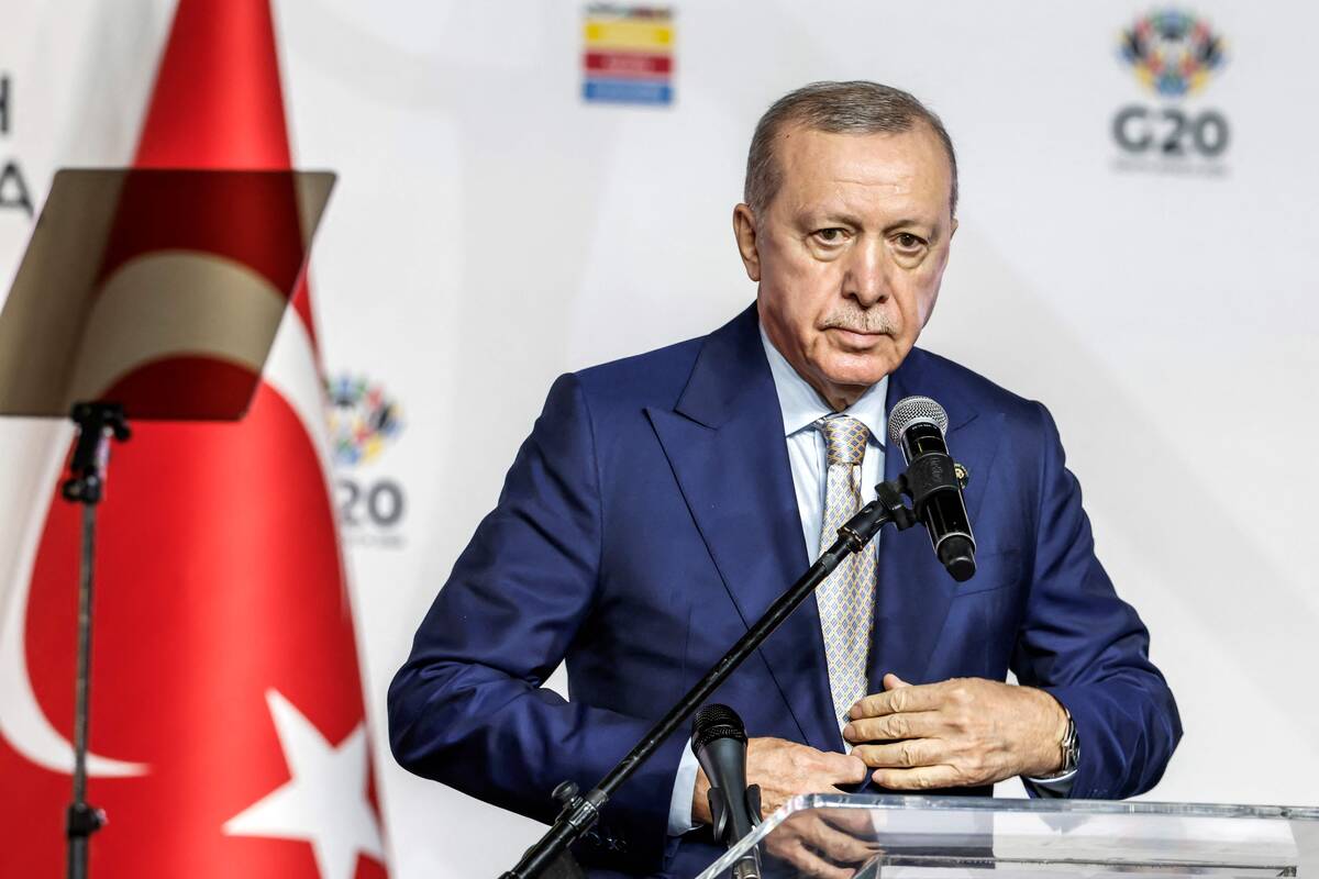 Už grasinimą Erdoganui įkalintas turkų žurnalistas
