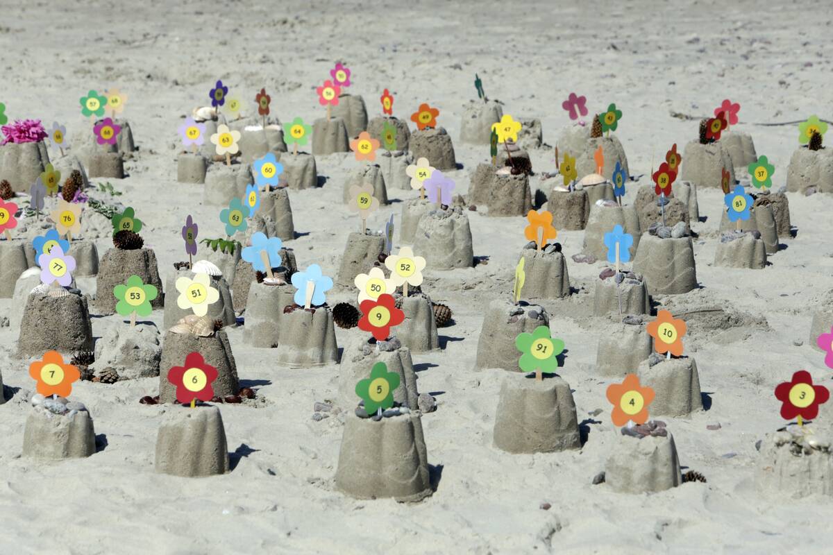 Tikslai: suaugusieji, ugdantys mažuosius klaipėdiečius, įsivėlė į nesantaikos karuselę.