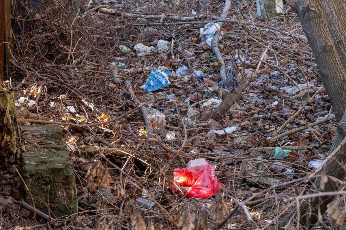 Aleksandras Žukovas